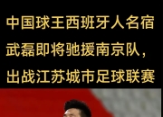 开云平台-联赛冠军实力不凡，有望在比赛中崭露头角