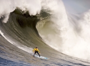 开云体育官方网站-北纬37度的对决，当塞维利亚热浪遇上安哥拉雄鹰，唯有巴尔韦德执棋破局