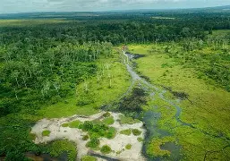刚果民主共和国队险胜晋级，前途一片光明