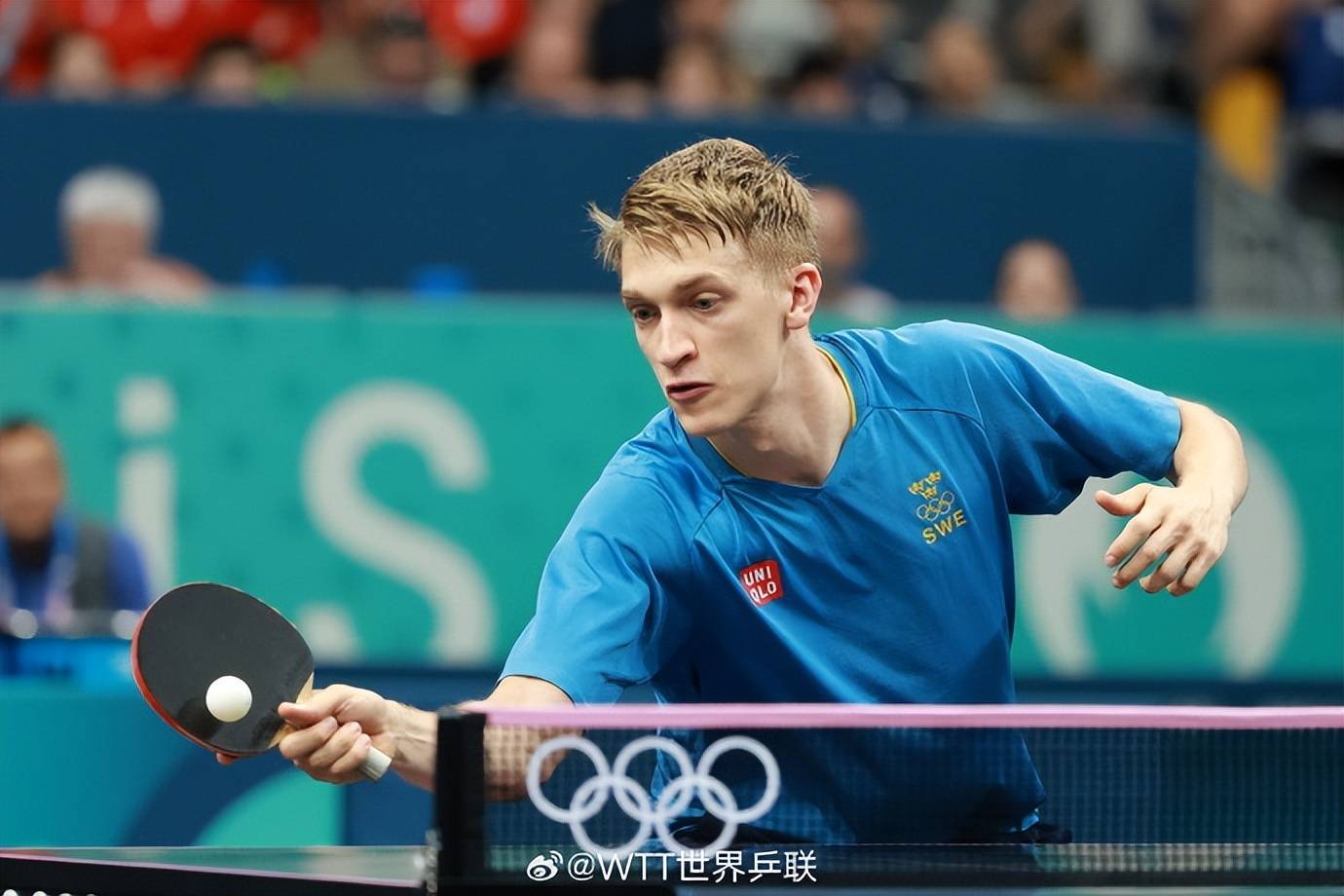 德国队完胜波兰队，波尔惊艳四座