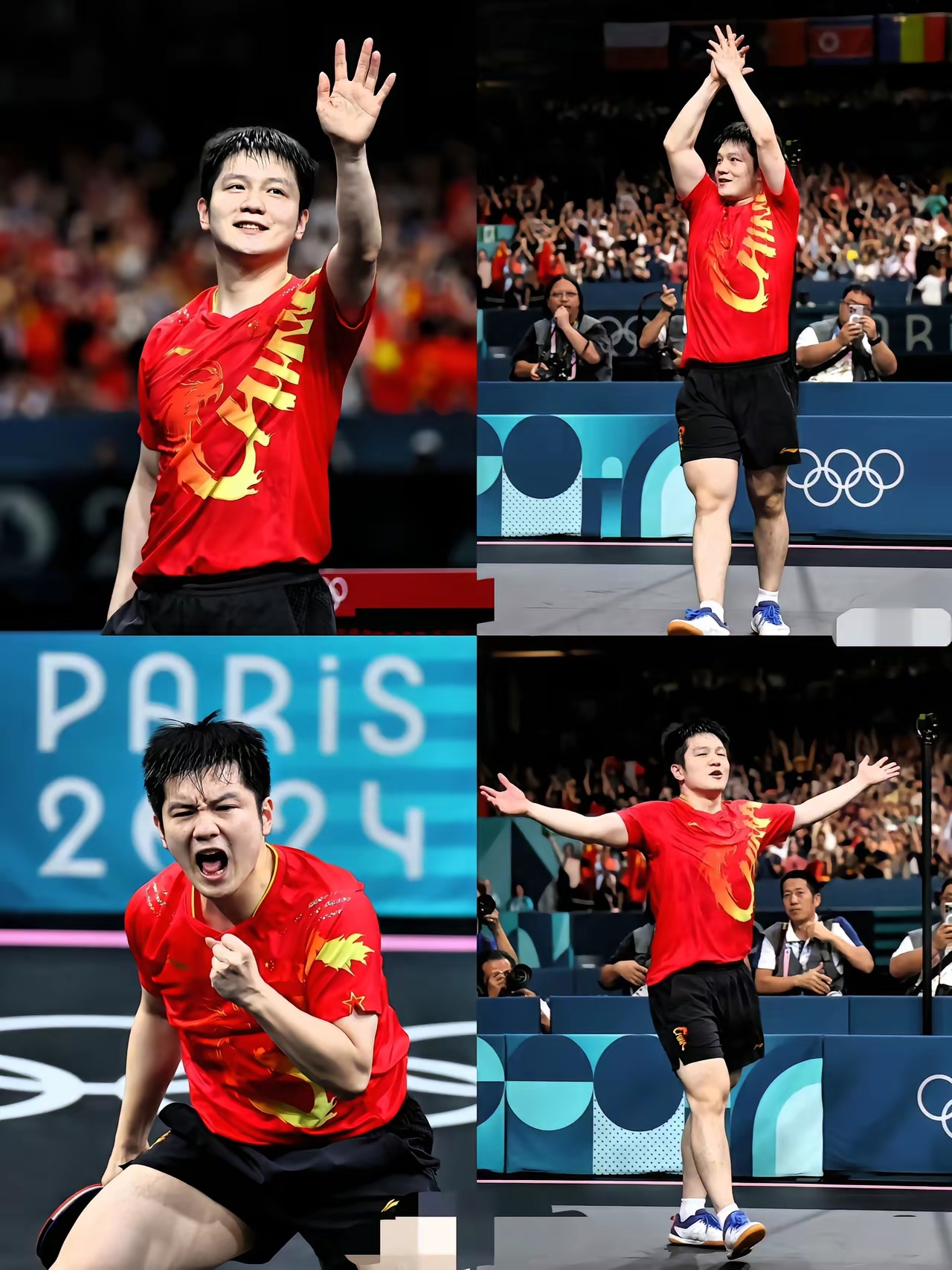 关于中国队力克葡萄牙队,樊振东状态火热的信息 关于中国队力克葡萄牙队,樊振东状态火热的信息