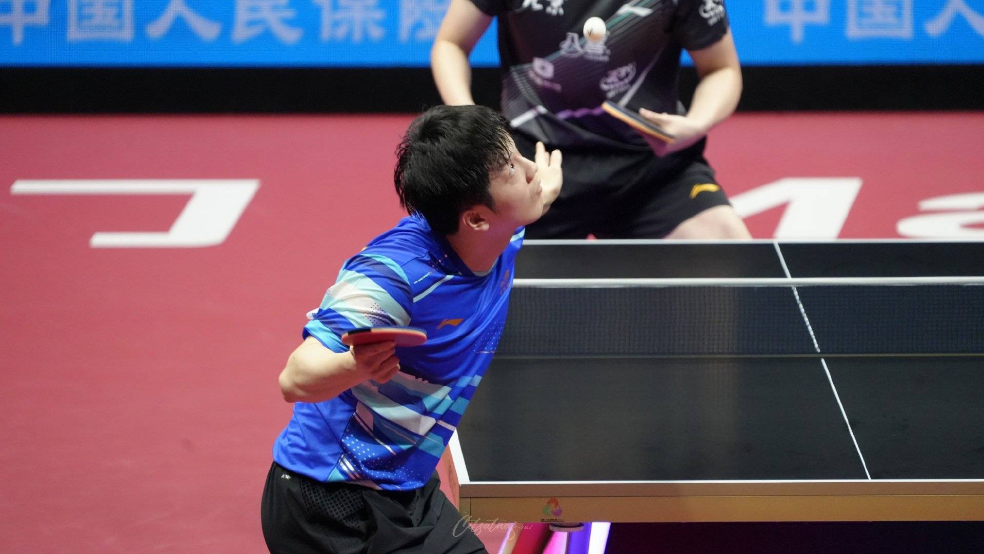 奥地利队横扫韩国队，樊振东带队取胜